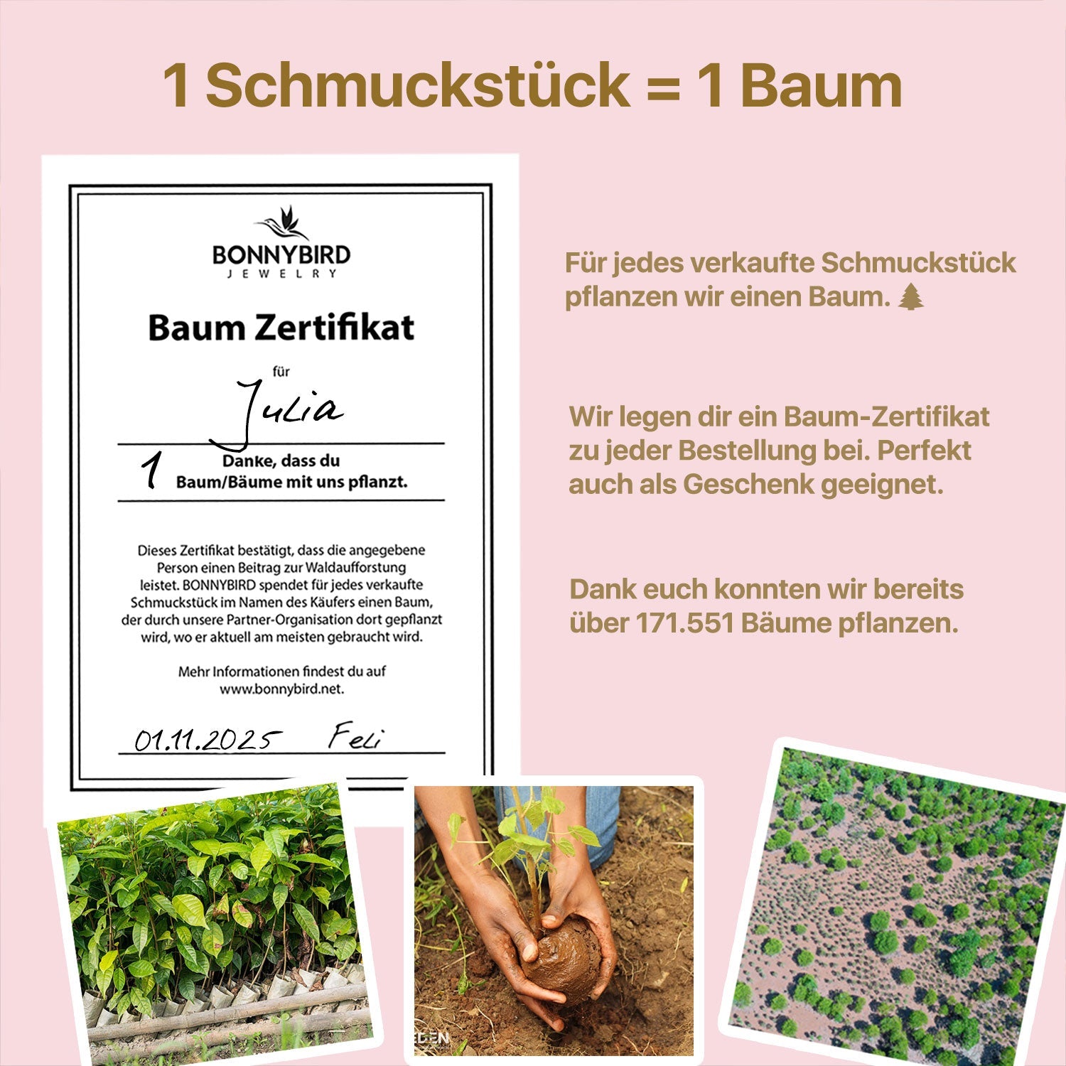 Bundle: BonnyCoin Plättchen Kette + Armband Gold